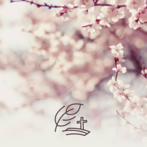 Mariah als Sängerin für Trauerfeiern – tröstende Lieder wie Hallelujah in respektvoller Atmosphäre